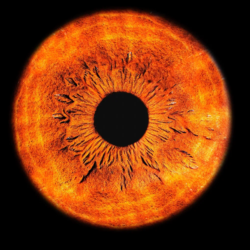 Zdjęcie tęczówki oka - Art of Eye, porównanie jakości