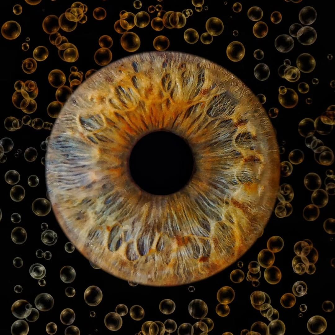 Zdjęcie tęczówki oka - Tęczówka Studio, porównanie detali